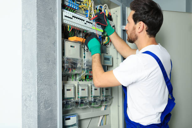 Best Electrical System Inspection  in Fort Washakie, WY